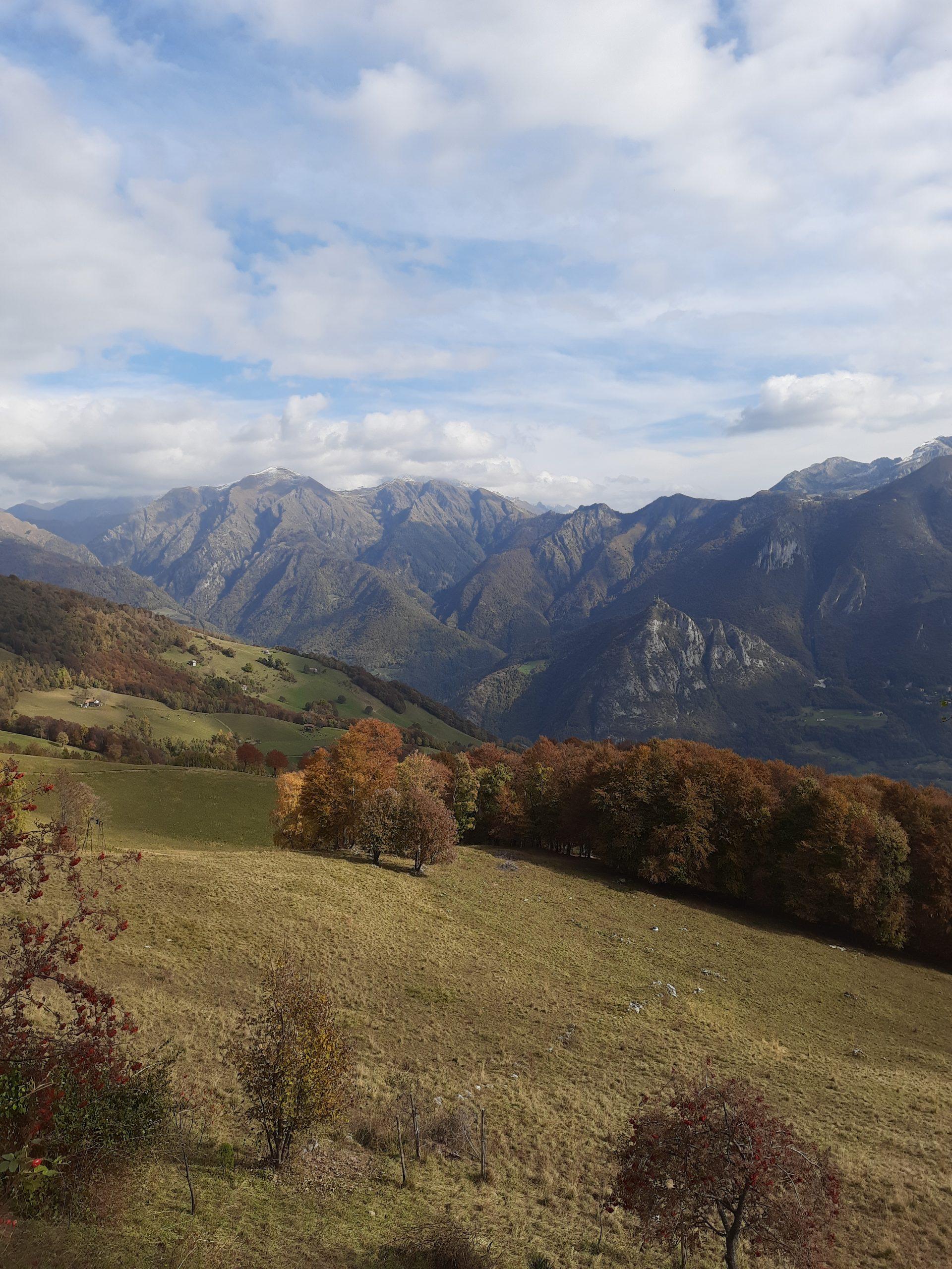 october-reading-list-paul-stephen-borile